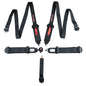 Zamp - SFI 16.1 3"/2" 5-Point Pull Down(Out) Seat Harness