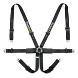 Racetech - Pro International 6-Point Harness - FIA Approved 2inch, Black